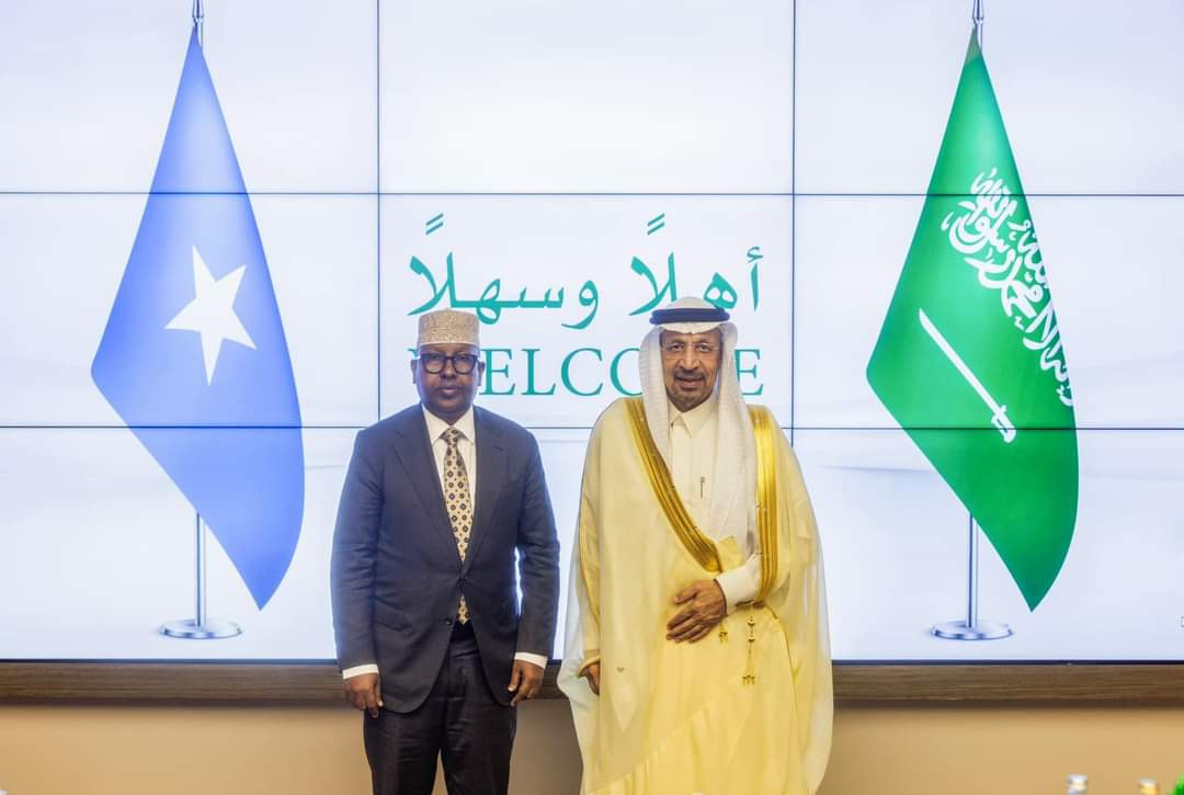 FM meets Minister of Investment of Saudi Arabia