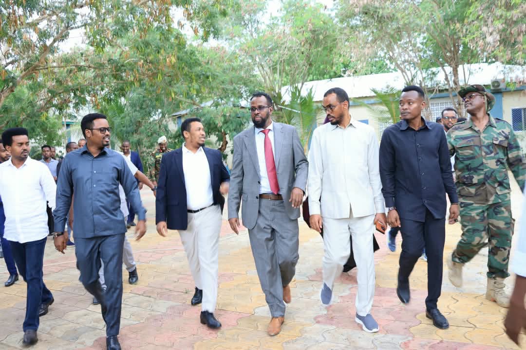 IMG_2244.jpeg